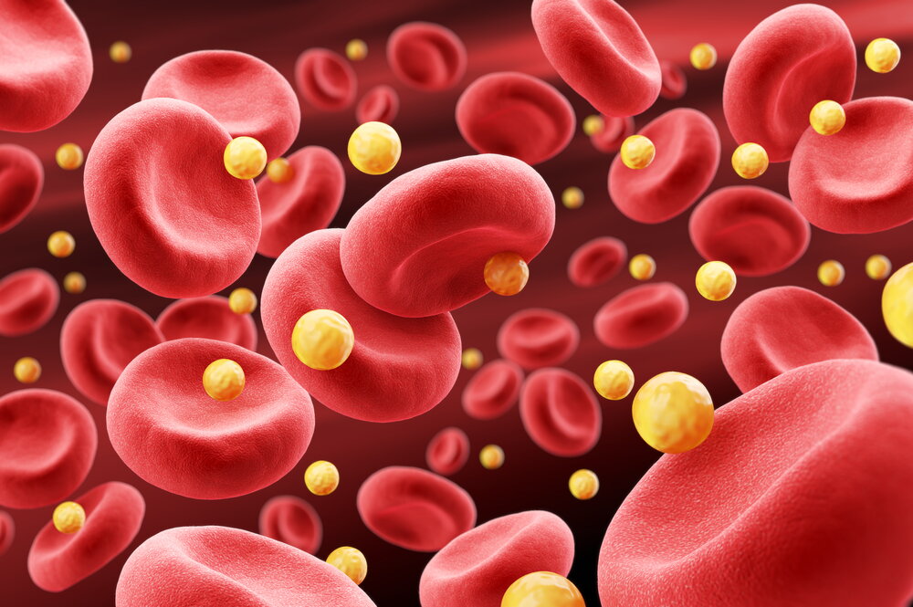 A rendering of cholesterol and red blood cells in the body.