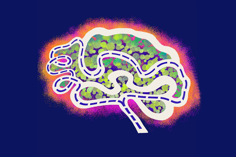 illustration of brain with a map within it