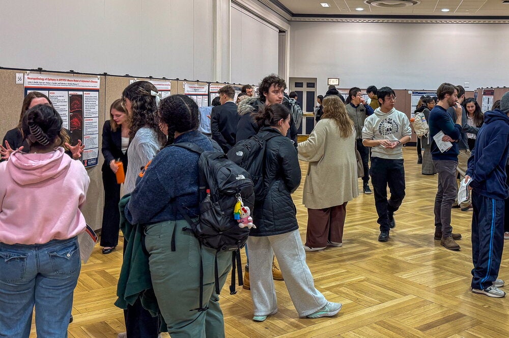 students view posters of research 