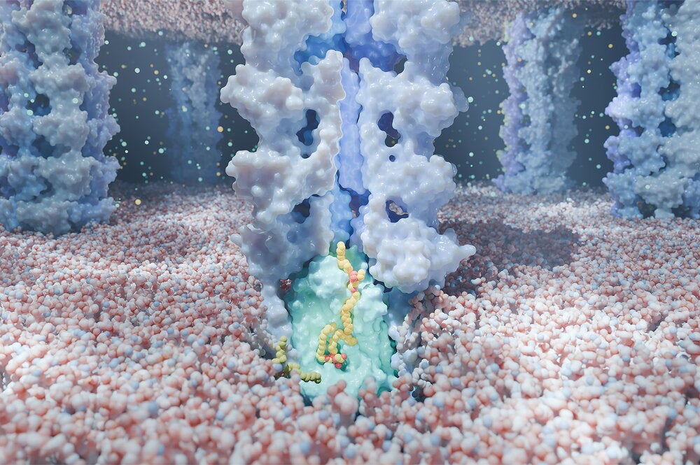 Yupeng Li -- Lipid on the Move