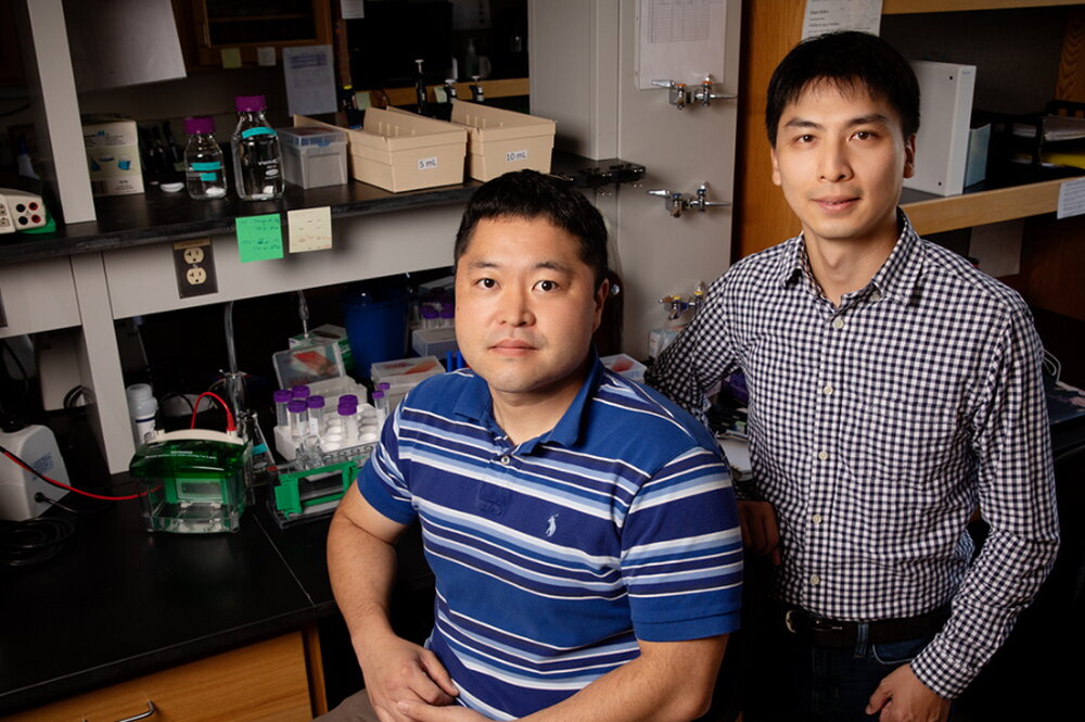 Tsai_EMBO_research_1080.png