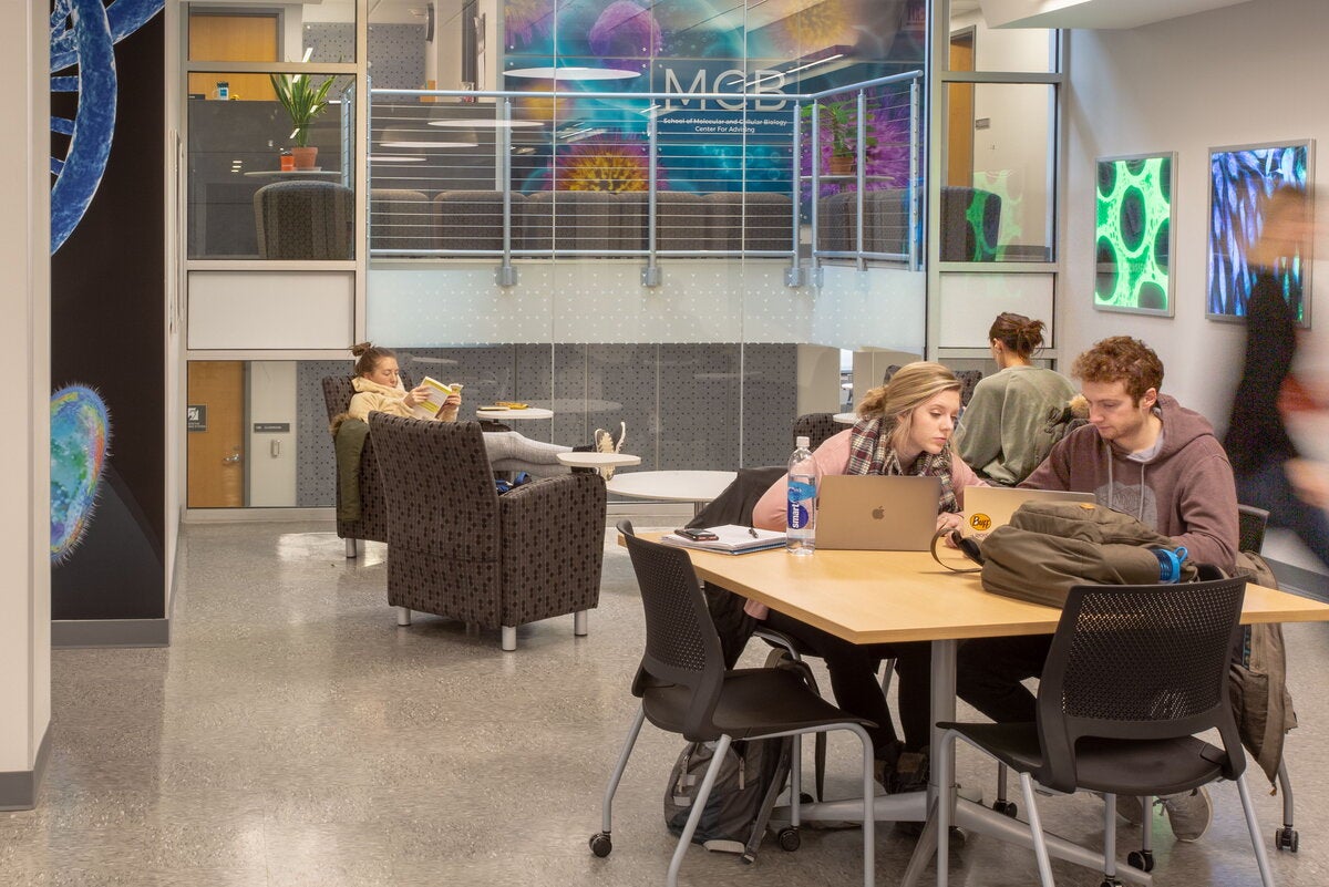 Students study in the MCB Learning Center