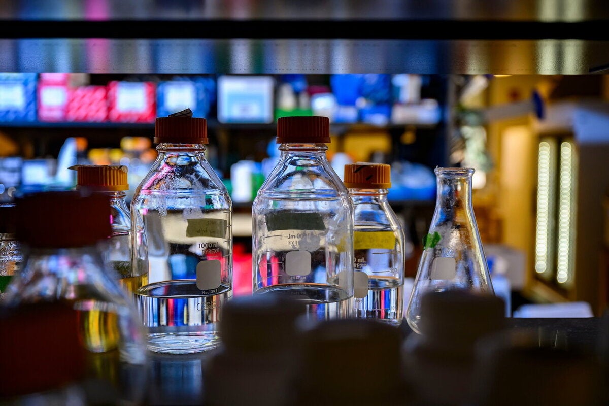 beakers on a lab shelf