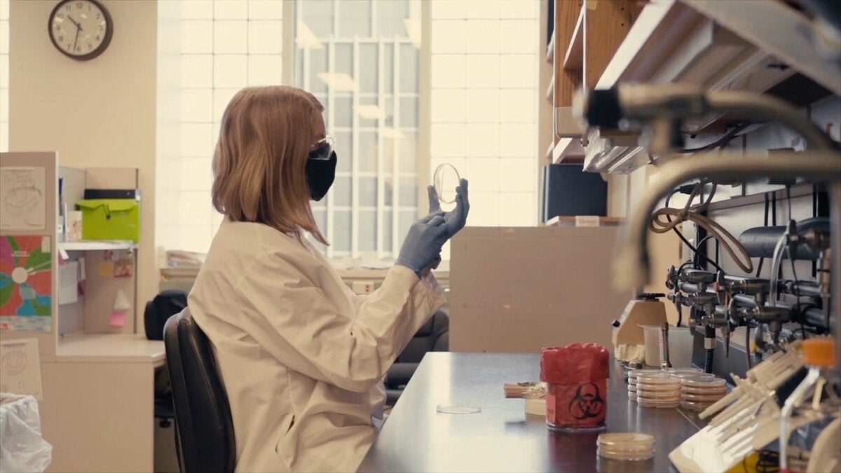 Phd student in microbiology examines sample in lab.