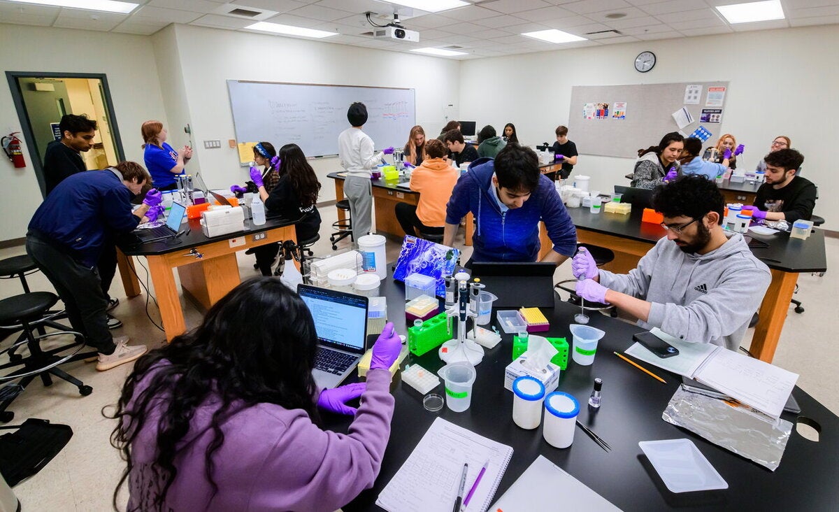 students perform experiments in a molecular biology lab