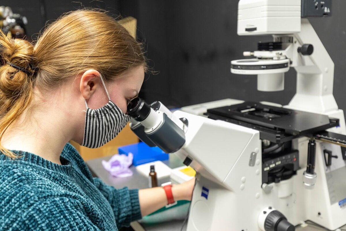 CDB student peers through microscope