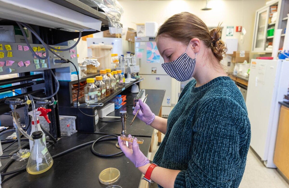 Student in a CDB lab prepares sample