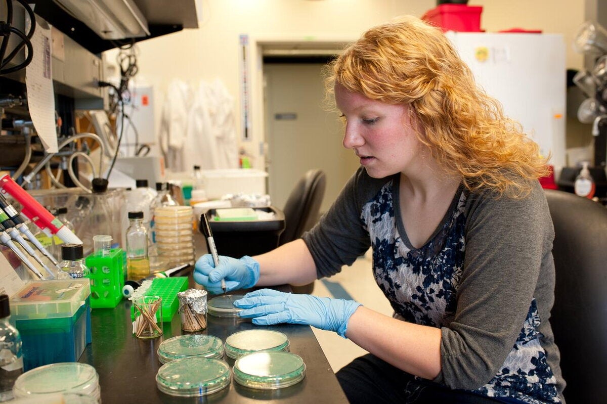 Student performs research in microbiology lab
