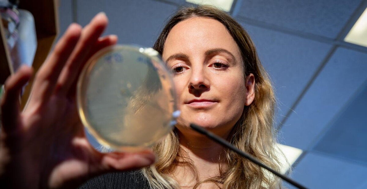 microbiology researcher examines sample