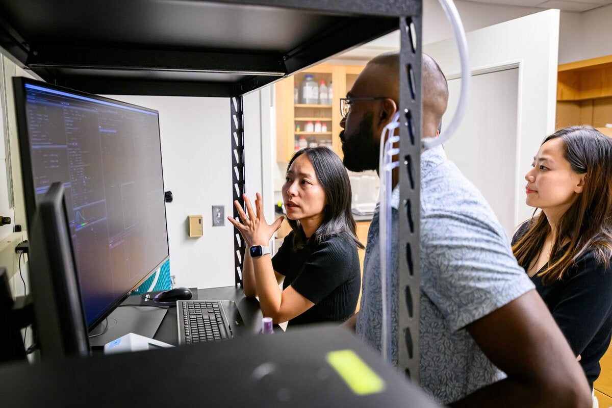 researchers examine data on a computer screen
