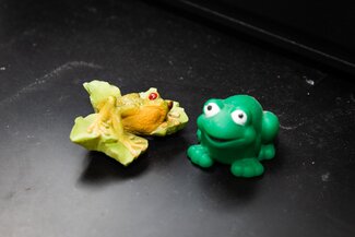Two frog toys sit on countertop.