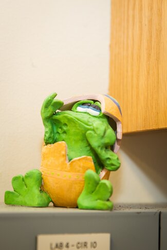 Frog toy sits on cabinet. 