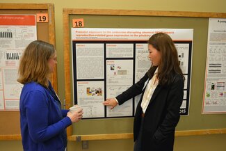 PhD students discuss their poster presentations
