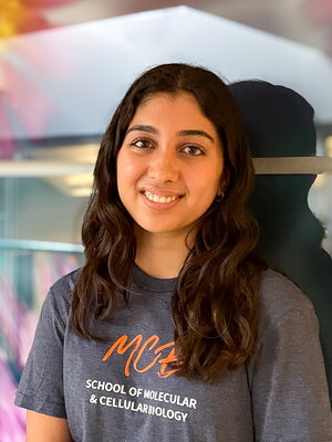 headshot of Iman Mohajir