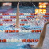 Members of U of I's Swim & Dive team swim in lanes. 