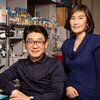 Illinois postdoctoral researcher Eung Chang Kim (seated left) and professor Hee Jung Chung (standing right) in Chung Lab.