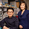 Illinois postdoctoral researcher Eung Chang Kim (seated left) and professor Hee Jung Chung (standing right) in Chung Lab.