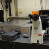 Multiphoton Fluorescence Confocal Microscope