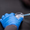 Tight shot of gloved hand holding a Petri dish. 