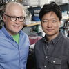 Microbiology professor Steven Blanke, graduate student Ik-Jung Kim and their colleagues discovered how a disease-causing bacterium, Helicobacter pylori, undermines the body’s immune defenses. Photo by L. Brian Stauffer.