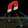 Researchers used a variety of techniques, including genome mining, to identify bacteria that produce defensive compounds in response to hormone exposure. Their approach will help in the discovery of new antibiotics and other medically useful molecules.