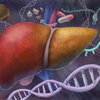 illustration of the liver, DNA strand, and medicine