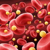 A rendering of cholesterol and red blood cells in the body.