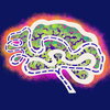 illustration of brain with a map within it