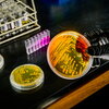 Three petri dishes on a lab bench