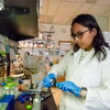 Reean Abdullah at the lab bench
