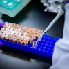 Hand using a pipette 