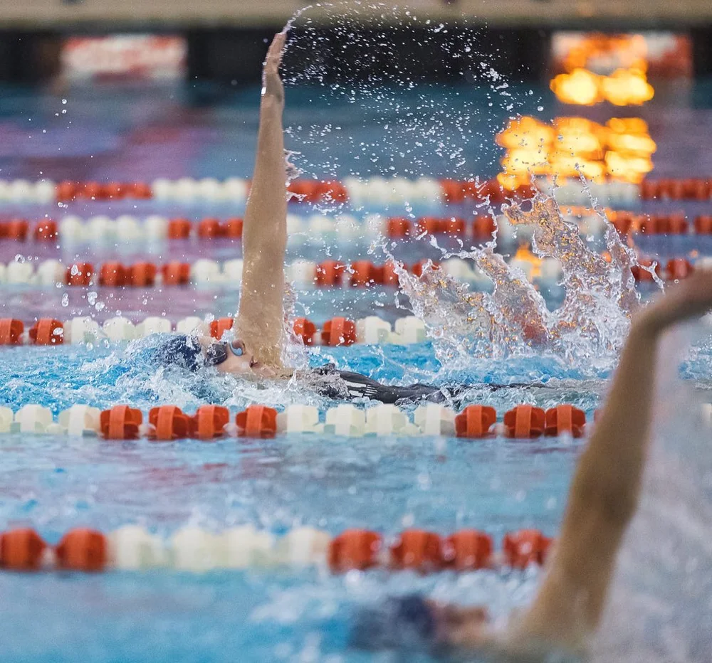Members of U of I's Swim & Dive team swim in lanes.