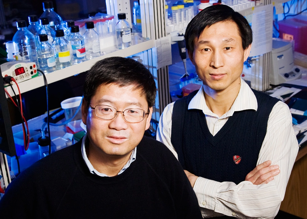 U. of I. biochemistry professor Lin-Feng Chen, right, and his colleagues, including postdoctoral researcher Xiaodong Yang, identified a novel pathway that controls the activity of a key protein involved in inflammation. Photo by L. Brian Stauffer