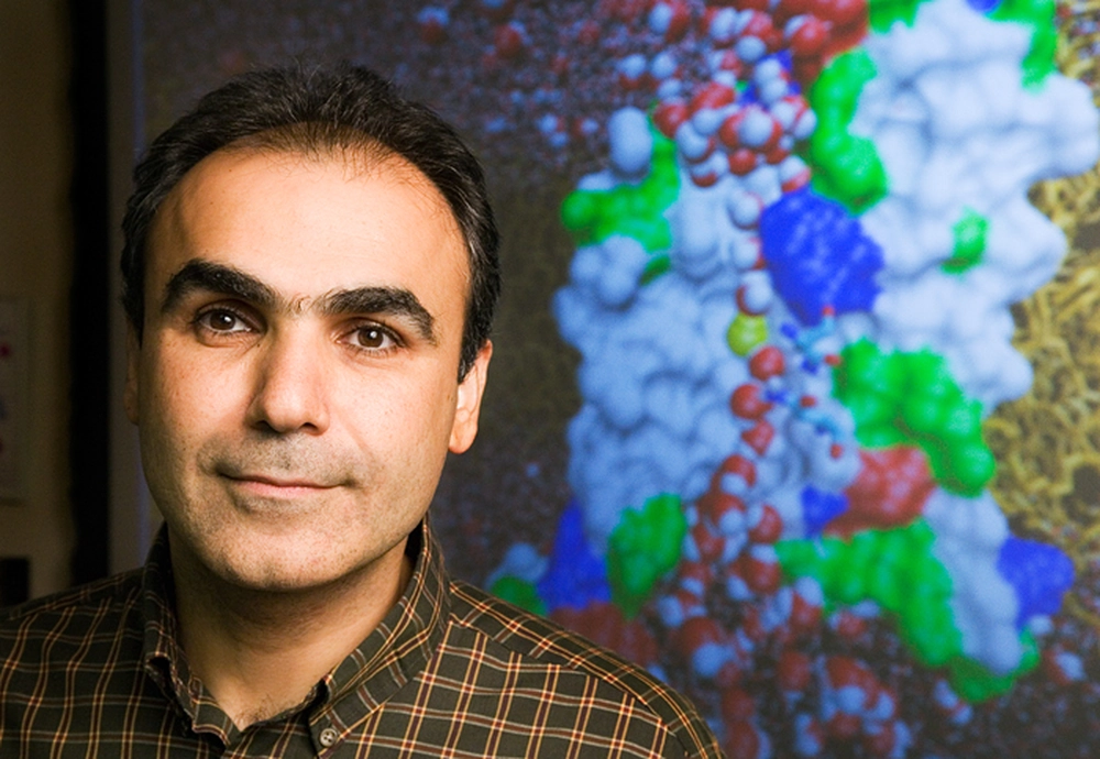 Emad Tajkhorshid