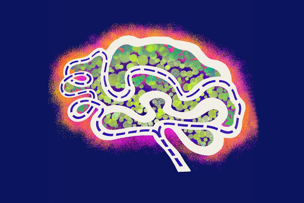 illustration of brain with a map within it