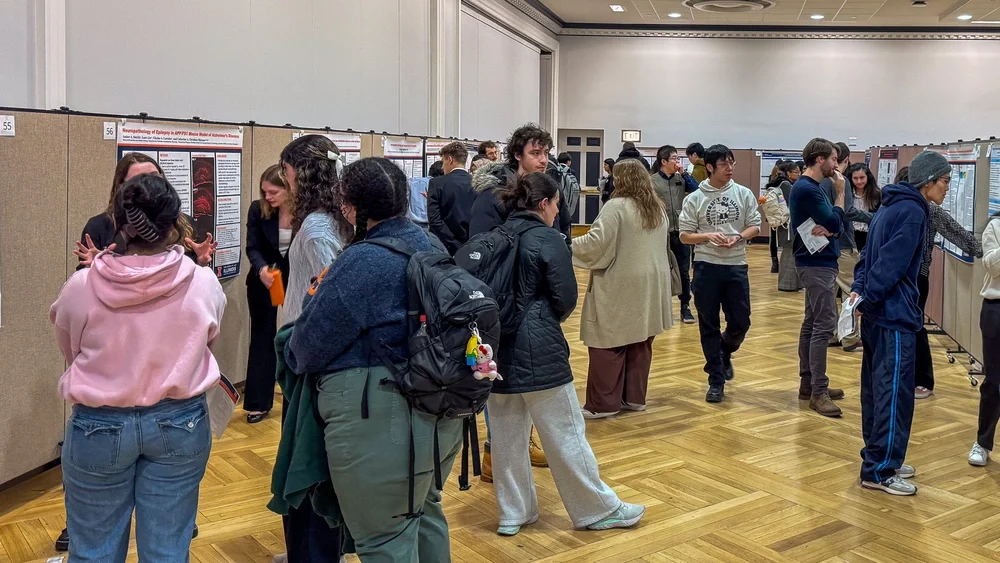 students view posters of research 