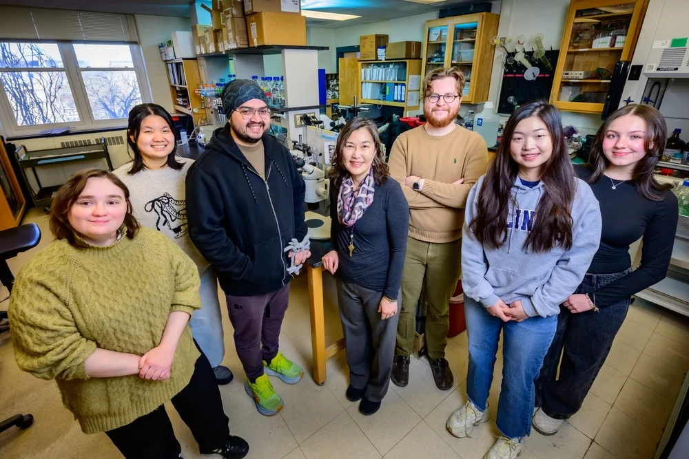 Members of the Hee Jung Chung research group gather around the lab benches