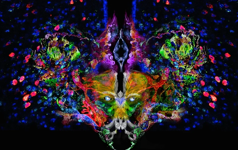 RNAscope confocal images of mouse brain with watercolor textures photographed and digitally layered into a single composition