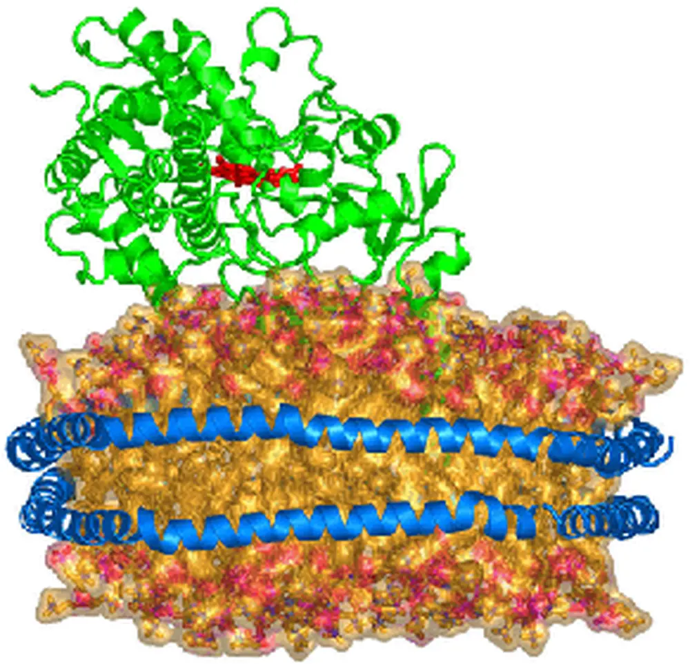 Androgen_nanodisc_web.gif