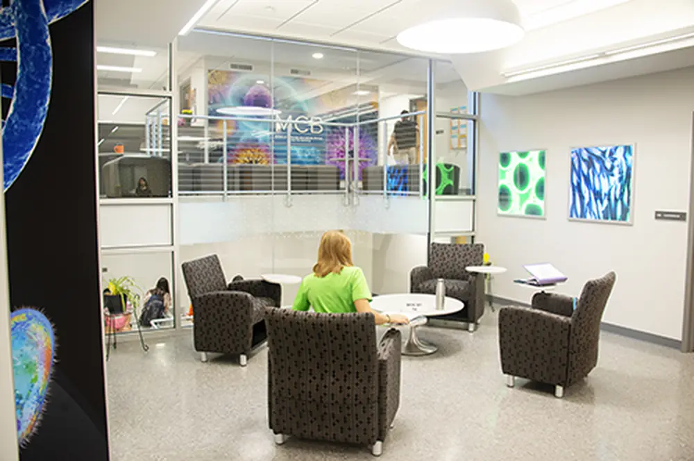 MCB_LearningCenter19_story_lobby.png