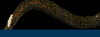 20130305newmark.png