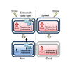 Research image courtesy of Slauch lab: Certain stresses or conditions induce production or import of putrescine and/or cadaverine. Once stress is relieved, the polyamines need to be exported via PaeA. Failure to export leads to high polyamine concentrations that are lethal under certain conditions.