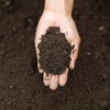 Hand holds pile of soil. 