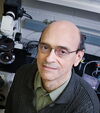 David Shapiro