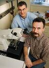 Andrew Belmont, left, and Igor Kireev, in the cell and developmental biology department, have developed a technique for imaging cells under an electron microscope that yields a sharper image of the structure of chromatin, the tightly wound bundle of genetic material and proteins that makes up the chromosomes. Photo by L. Brian Stauffer