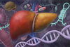 illustration of the liver, DNA strand, and medicine